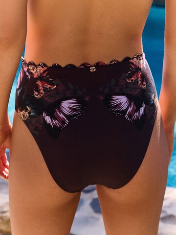 B by Ted Baker Bikini bottom in Brown