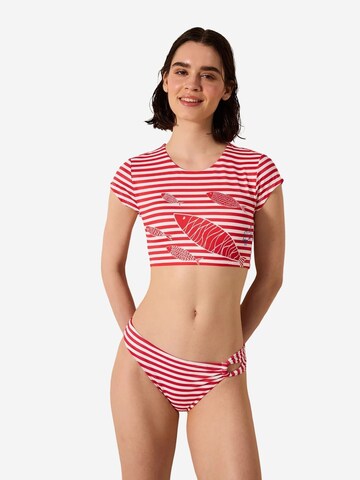 Penti Bikinitop 'Bikinioberteile'‌‌‌‌‌ in Mischfarben