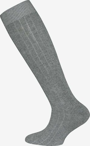 EWERS Štandardný strih Ponožky - Žltá