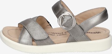 Westland Sandals 'Albi' in Silver: front