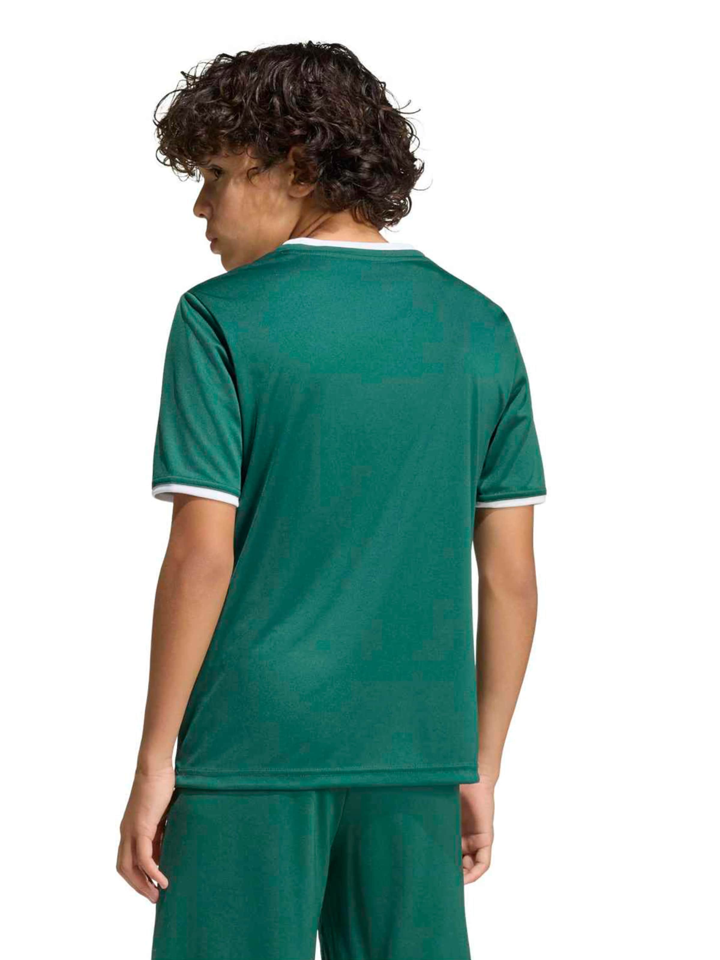 Tricou funcțional 'ENT26' de la ADIDAS PERFORMANCE pe verde