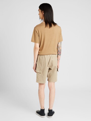 ELLESSE Regular Cargo Pants 'Terence' in Brown