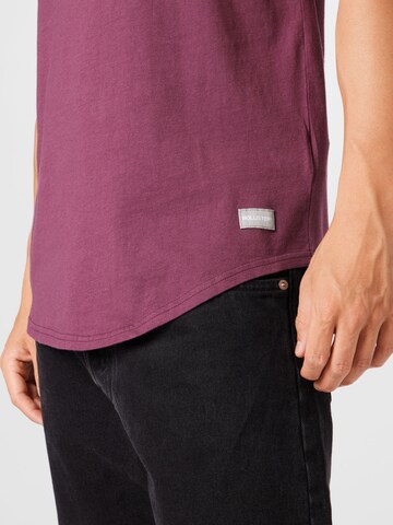 T-Shirt HOLLISTER en violet