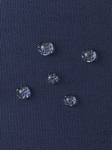 Reima Gloves 'Ote' in Blue