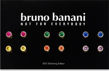 Bruno Banani LM Earrings in Mixed colors: front