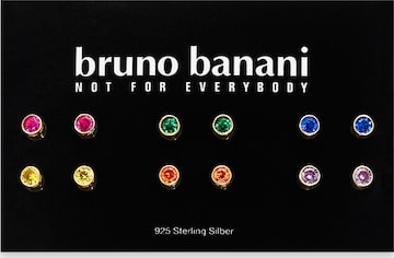 Bruno Banani LM Earrings in Mixed colors: front