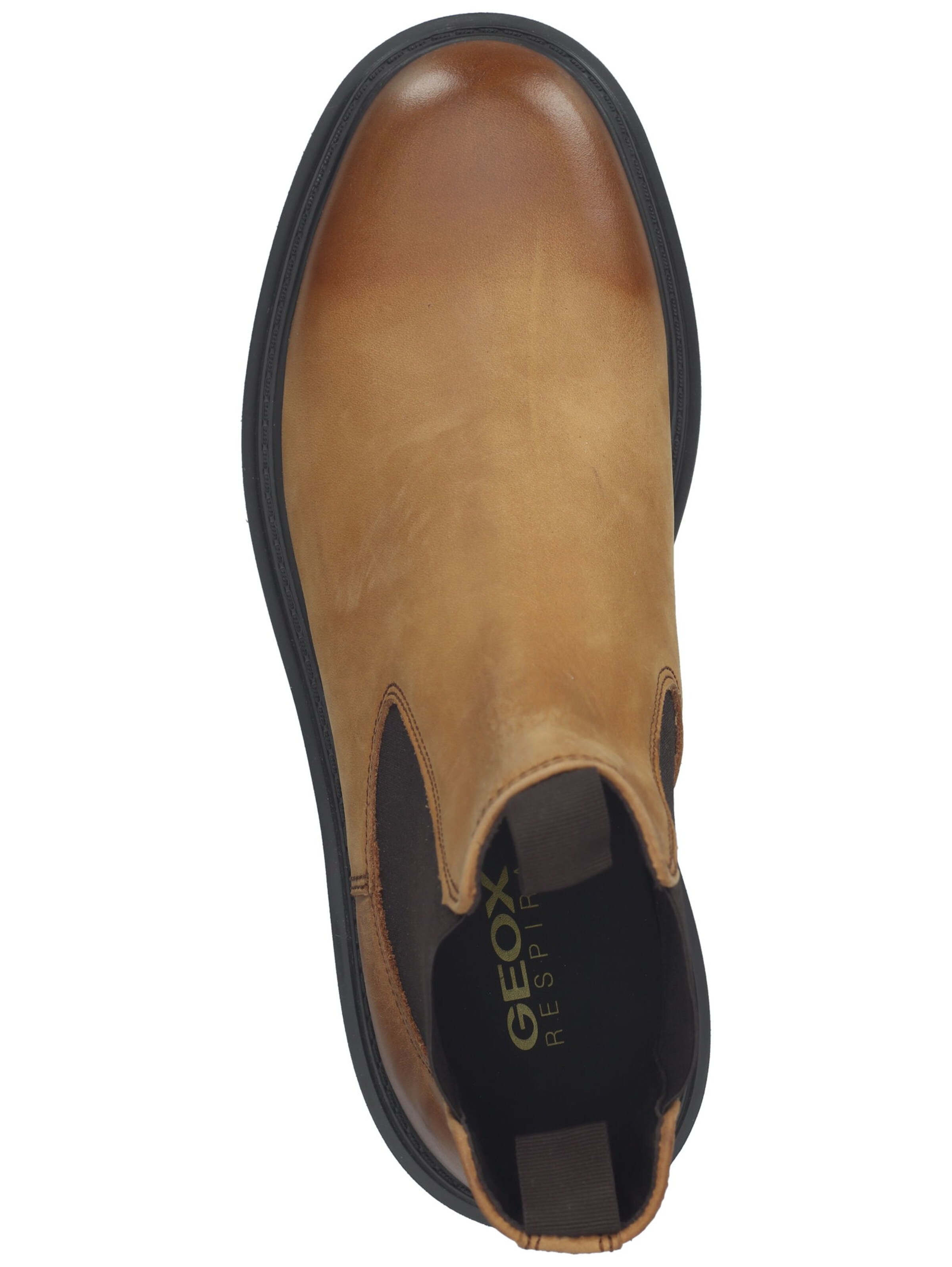 GEOX Chelsea boots in Brown