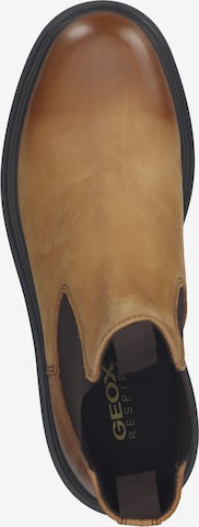 GEOX Chelsea Boots in Braun