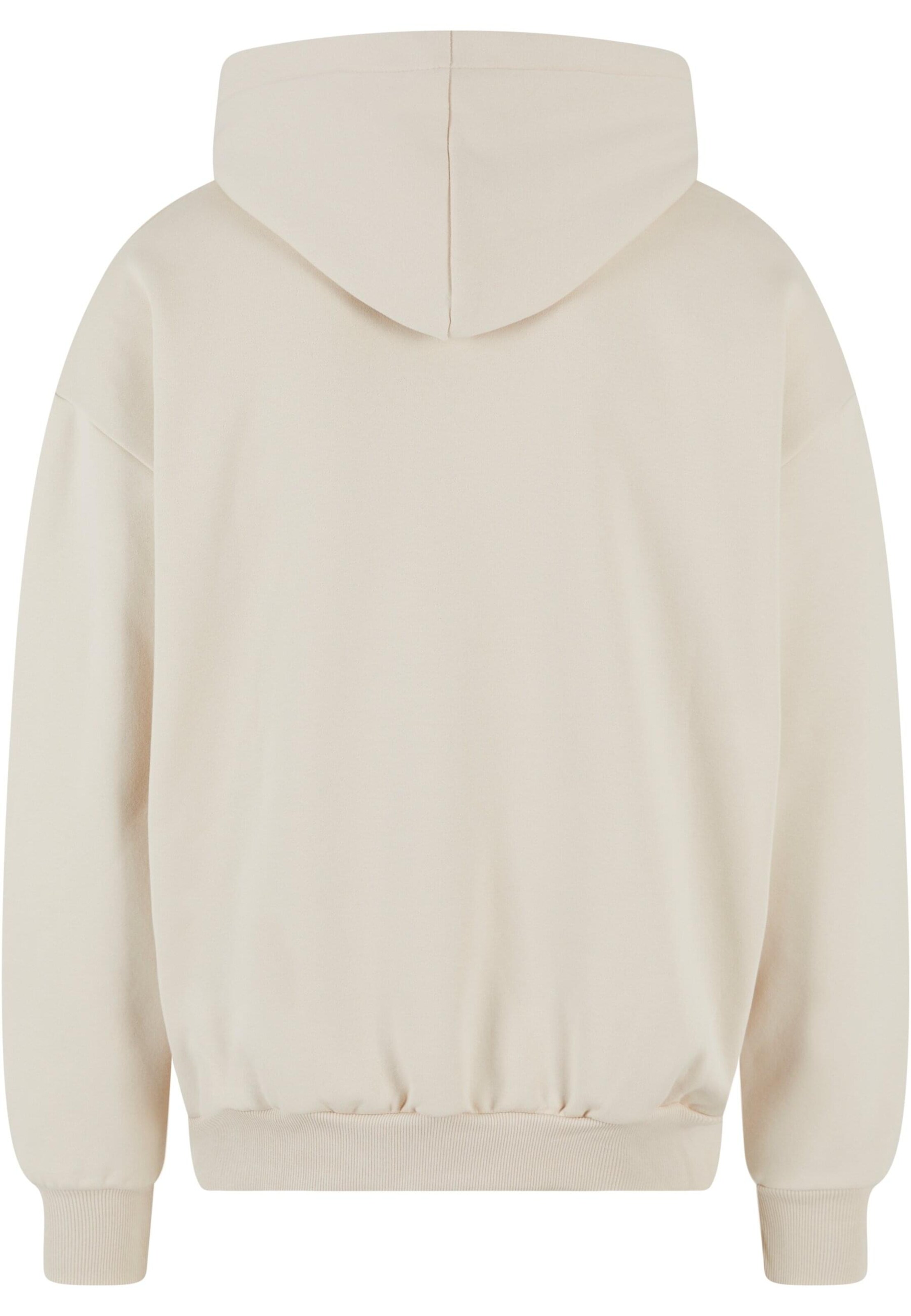 Dropsize Sweatshirt i beige