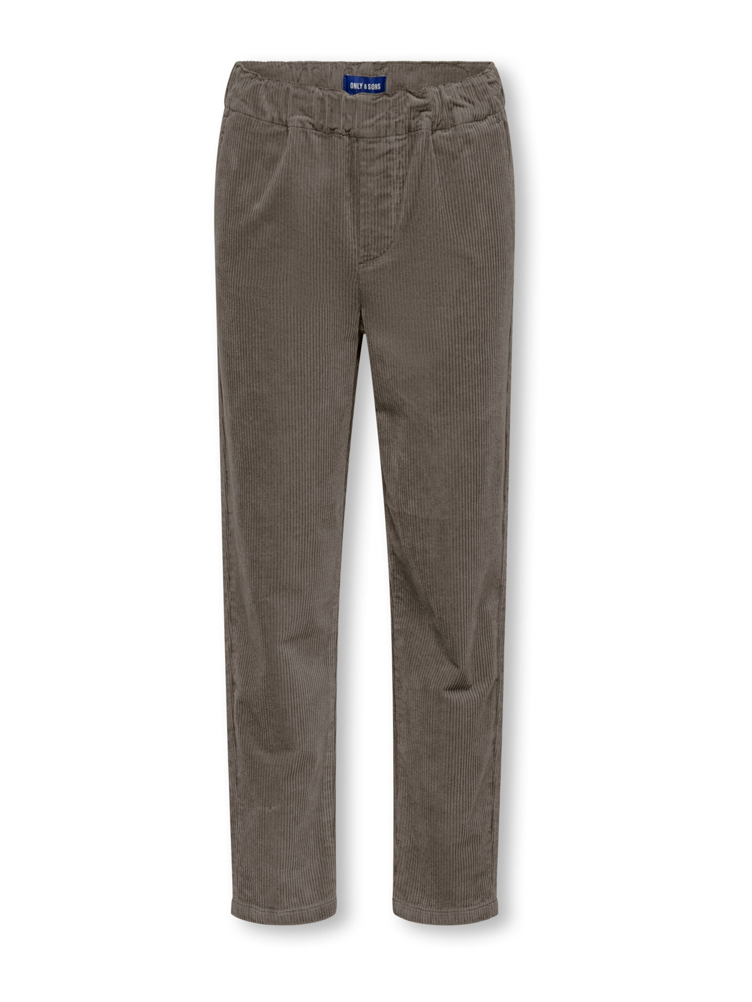 Only & Sons Junior Regular Broek 'OSJLINUS ALARIC' in Bruin: voorkant