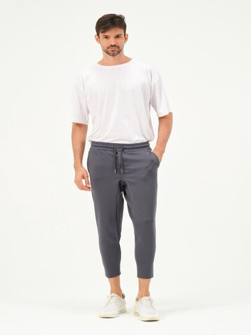 C&City Trousers in Grey: front