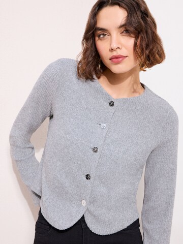 Friends Like These Gebreid vest in Grijs