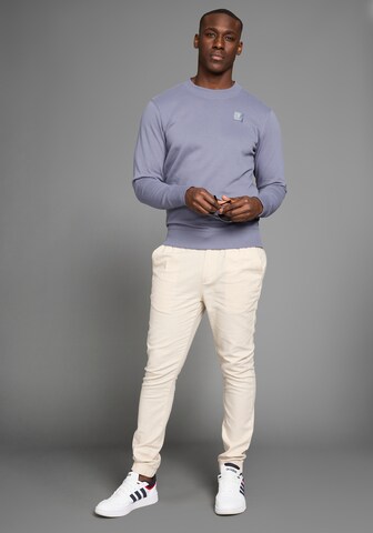DELMAO Sweatshirt in Grau