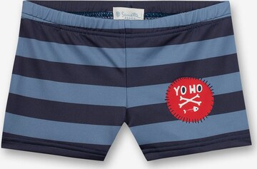 SANETTA Board Shorts in Blue: front