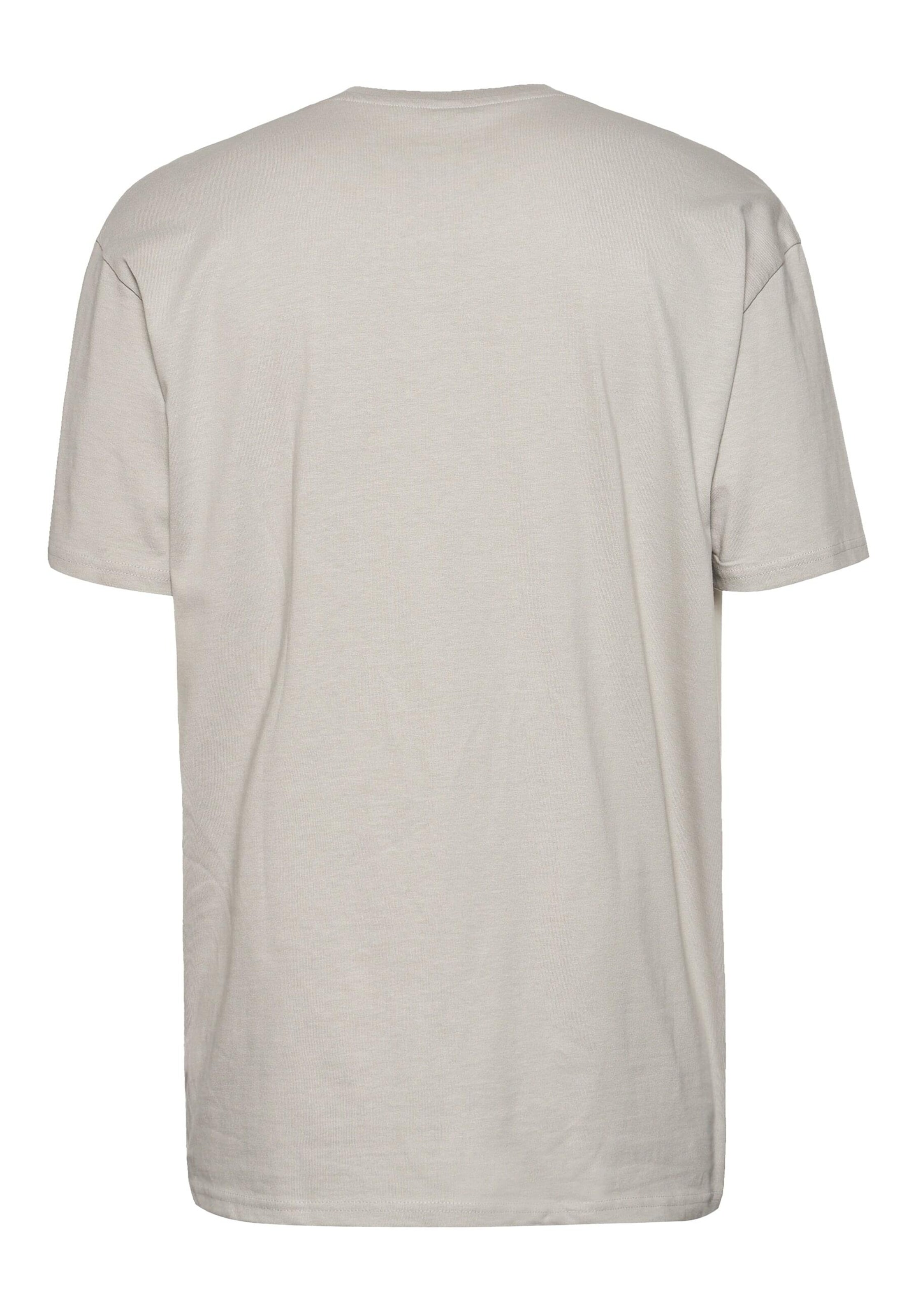 Dangerous DNGRS T-shirt i grå