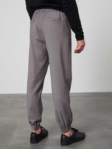 DAN FOX APPAREL Tapered Broek in Grijs