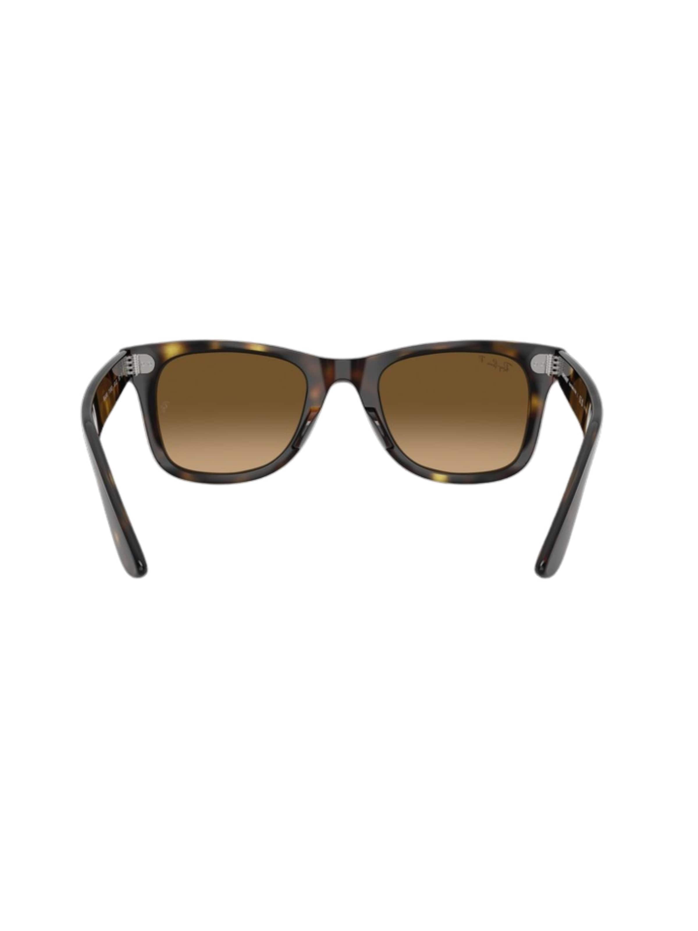 Ray-Ban Sunglasses in Brown