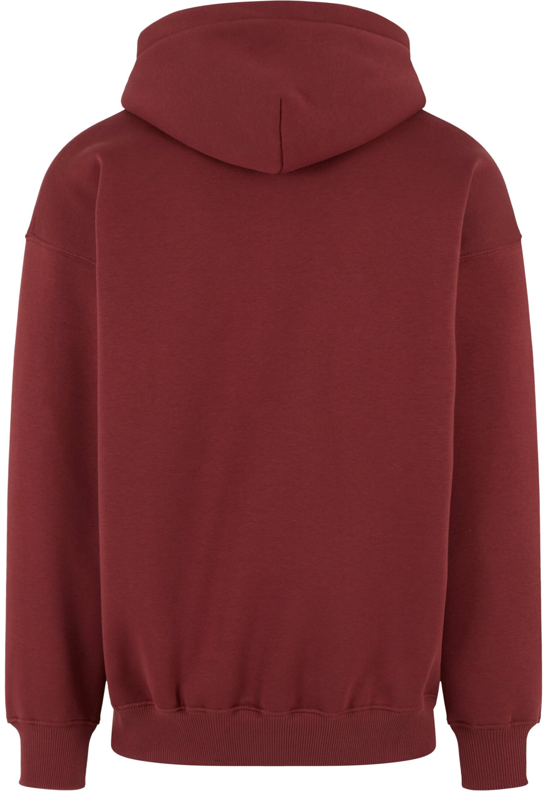HOMEBOY Sweatshirt 'Pencil' in Rood