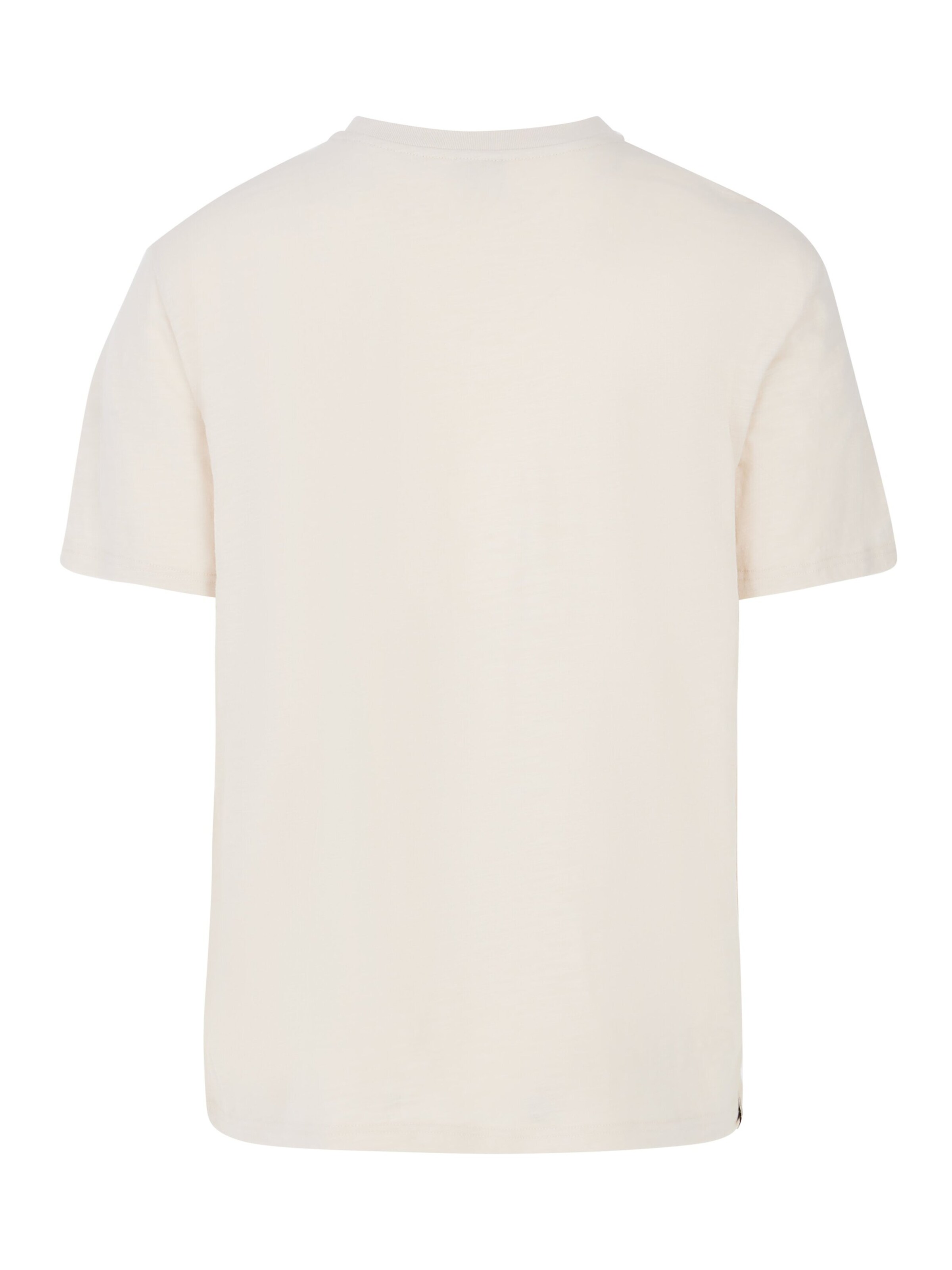 PROTEST Shirt 'PRTHowlen' in Green