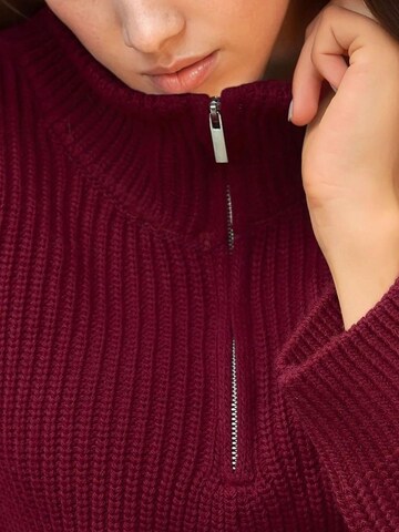 Hiccup Trui 'Pullover' in Rood
