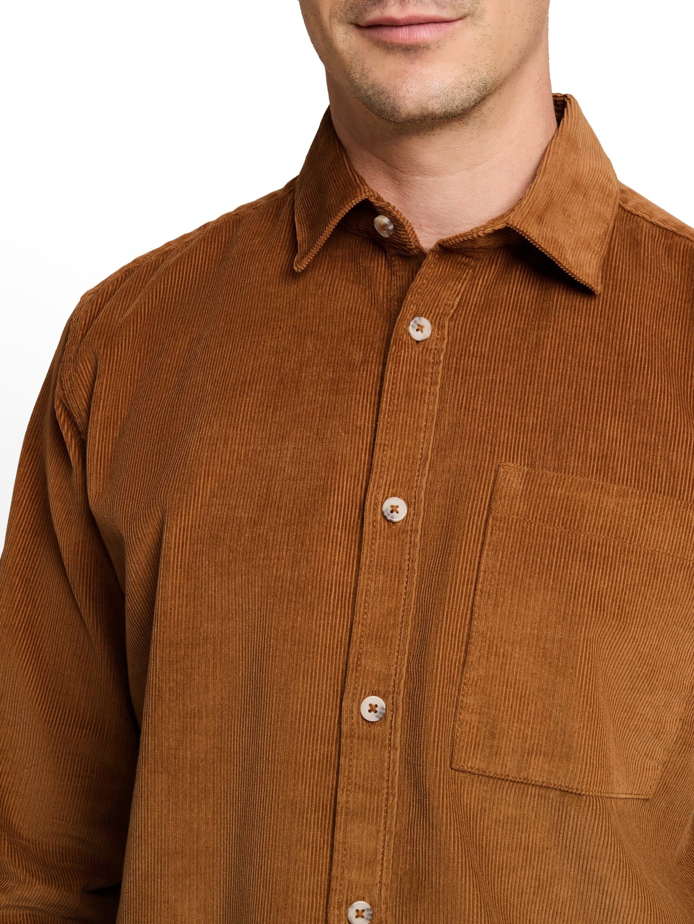 TOM TAILOR Regular fit Overhemd in Bruin