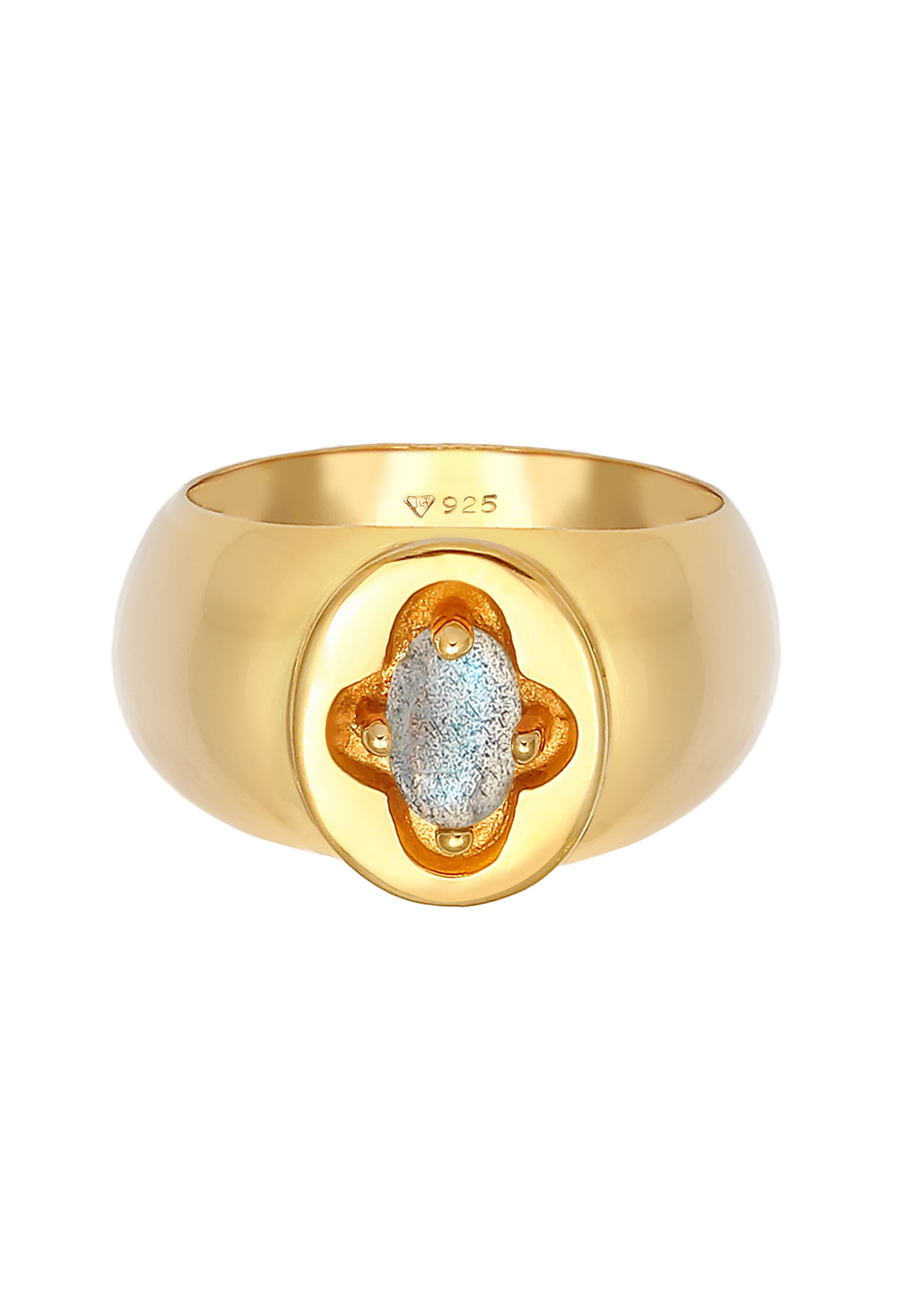 ELLI PREMIUM Ring Siegelring in Gold 