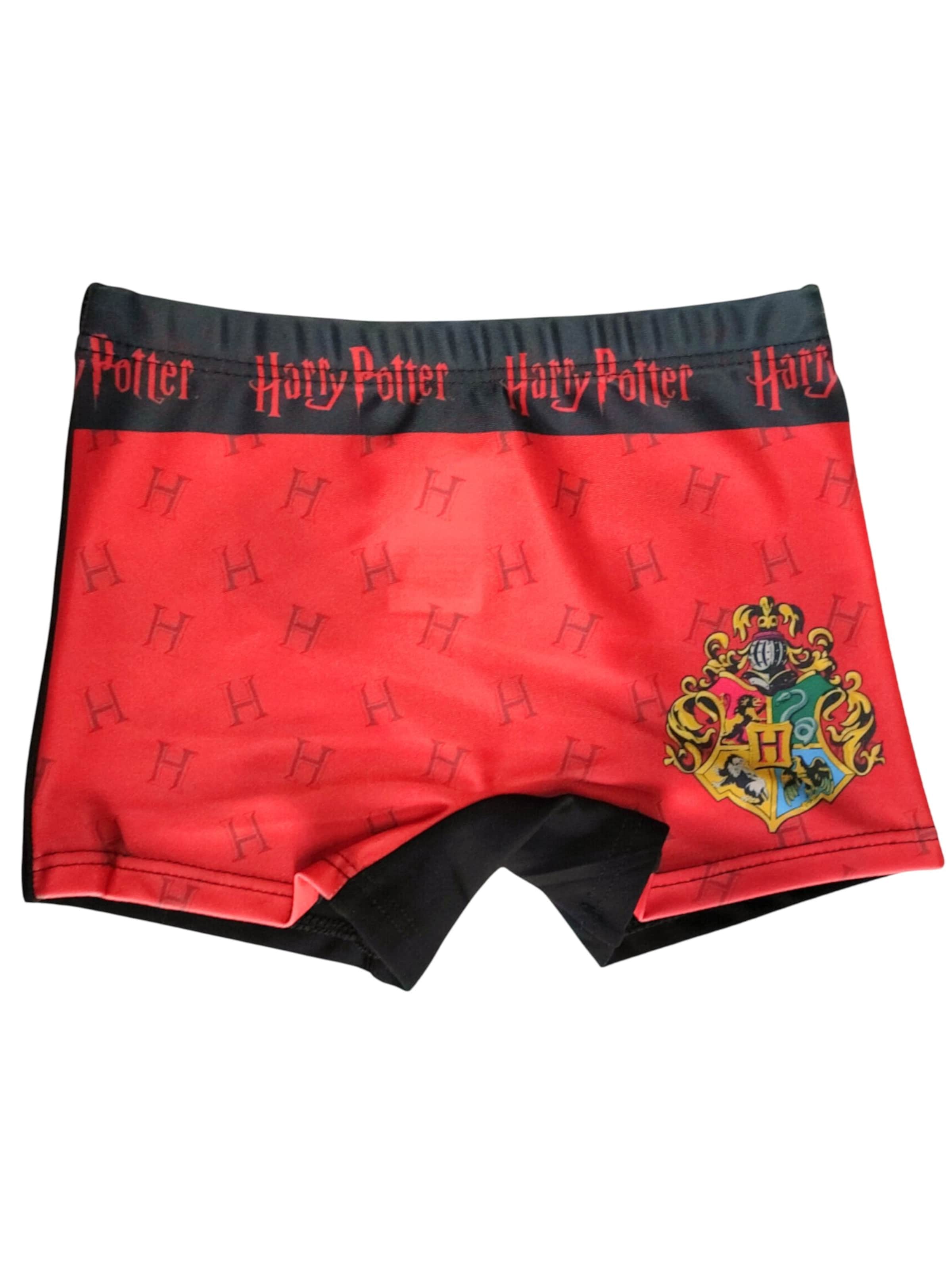 Harry Potter Board Shorts 'Harry Potter' in Black: front