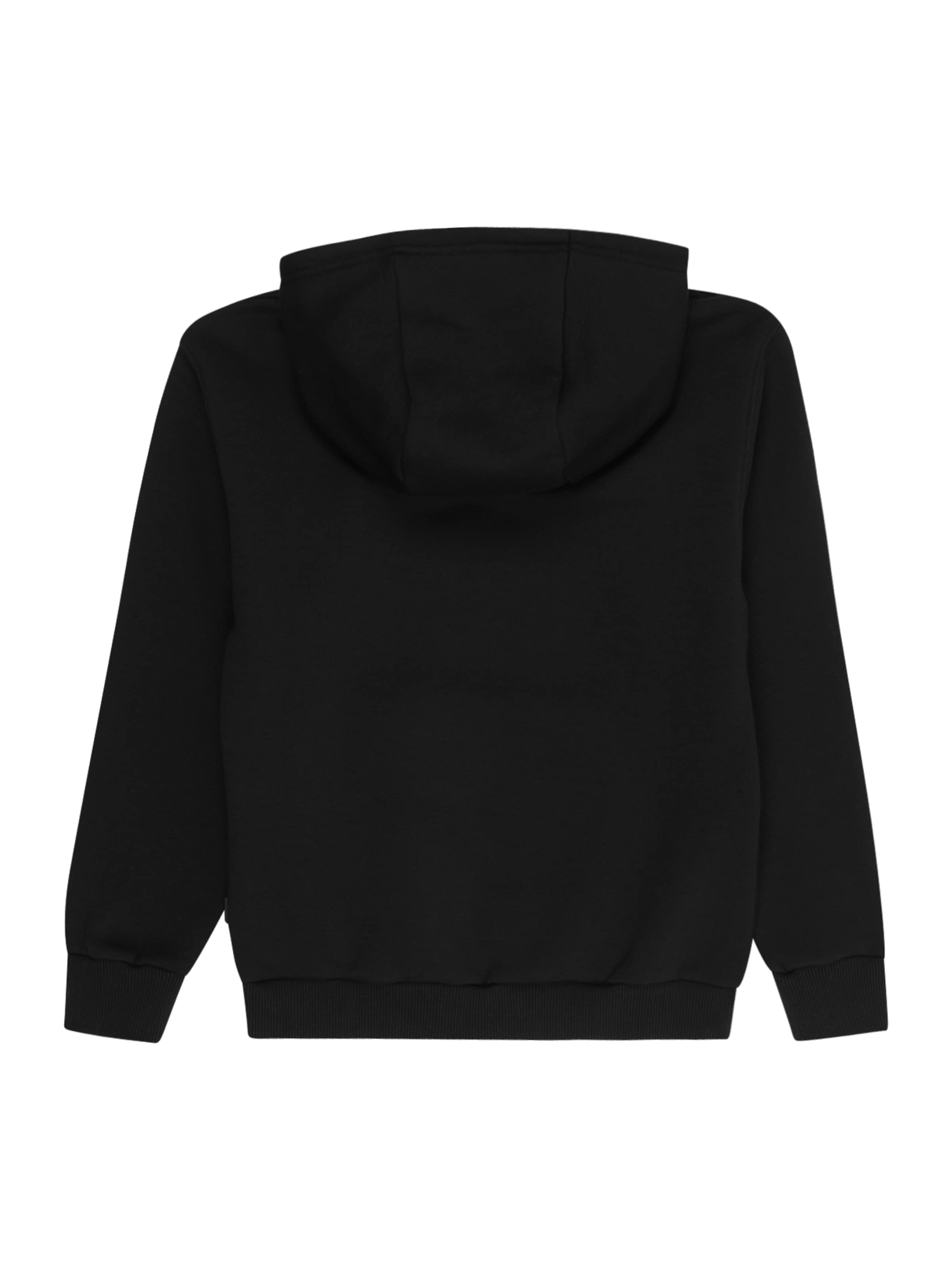 Felpa 'FERGAL' di Cars Jeans in nero