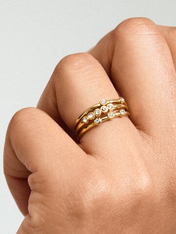 Pilgrim Ring i guld: forside