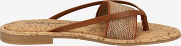 Rapisardi T-Bar Sandals in Brown