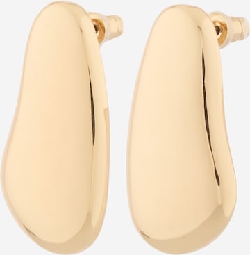 auksinė STEVE MADDEN Auskarai: priekis