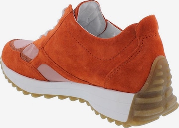 WALDLÄUFER Sneakers hoog in Oranje