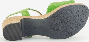 Sandalo di GABOR in verde