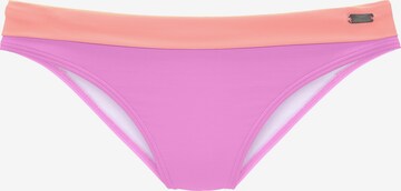 VENICE BEACH Bikini Bottoms in Purple: front