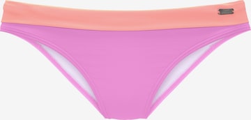 Bas de bikini VENICE BEACH en violet : devant