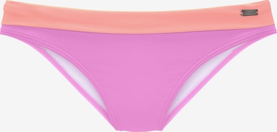 VENICE BEACH Braga de bikini en XL en orquidea / salmón, Vista del producto