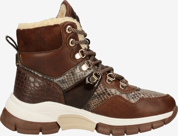 MEXX Lace-Up Ankle Boots in Brown