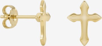 Sofia Milani Ohrringe in Gold: Vorderseite