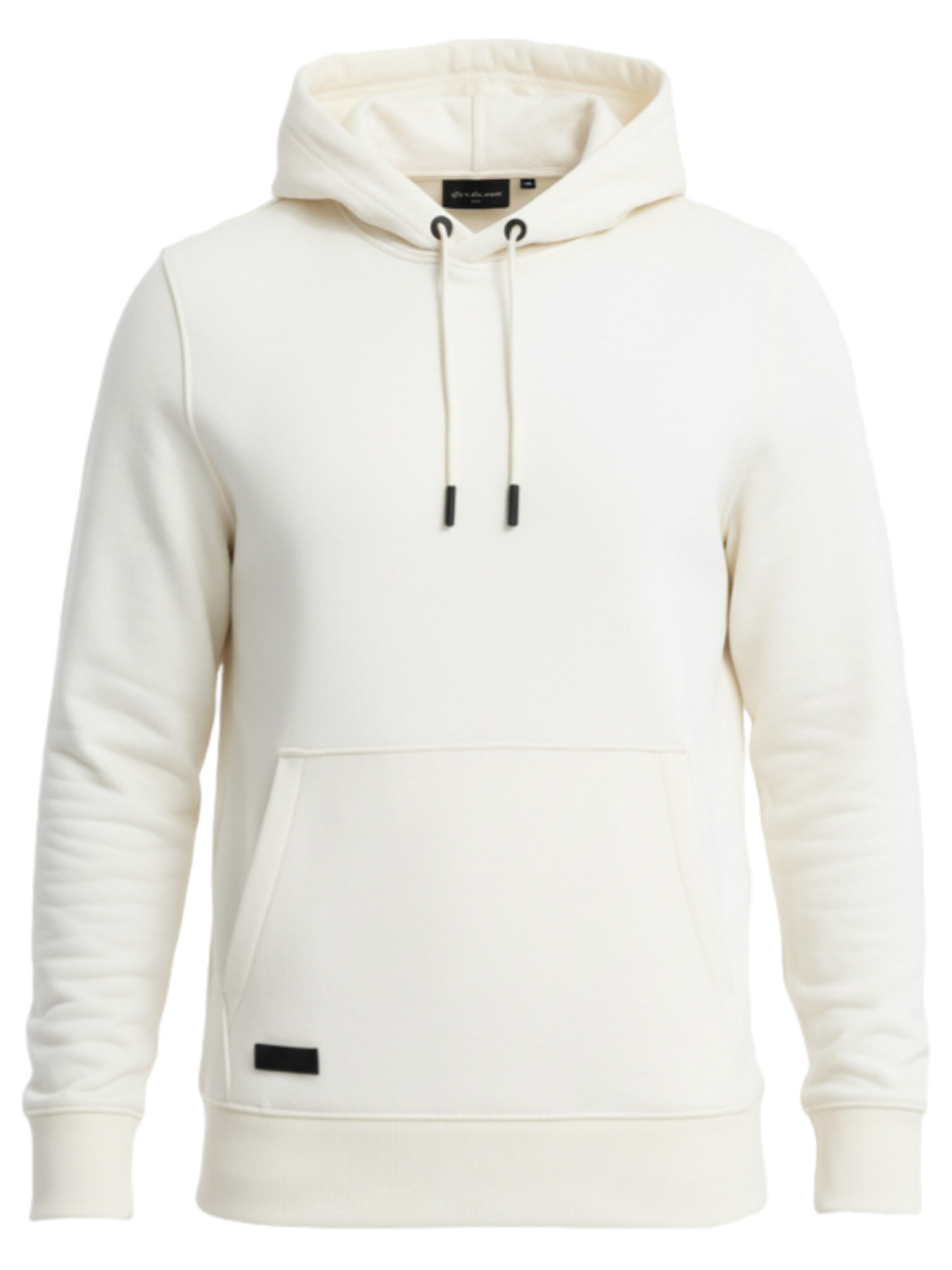 Ombre Sweatshirt 'OM-SSBN-0161' in Beige: front