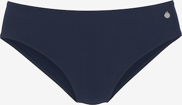 VENICE BEACH Низ бикини 'Caru' в Синий: спереди