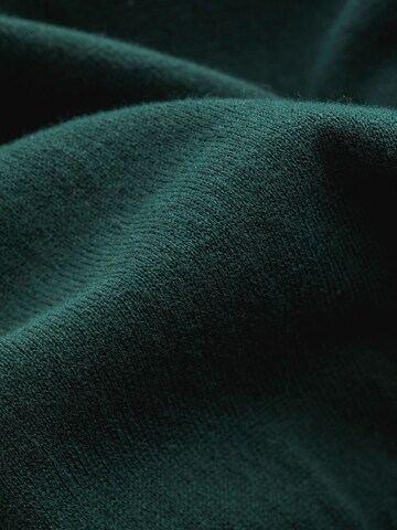 Next Sweater in Green