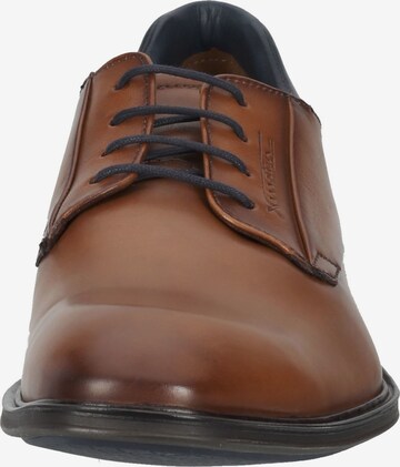 LLOYD Lace-Up Shoes in Brown