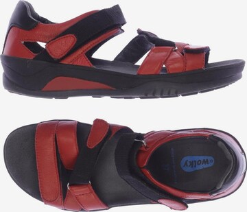 Wolky Sandalen 37 in Rot: predná strana