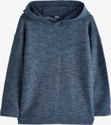 mėlyna Next Megztinis: priekis