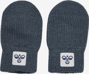 Hummel Handschuhe in Blau: Vorderseite