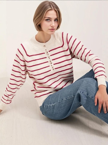 Bigdart Trui in Roze