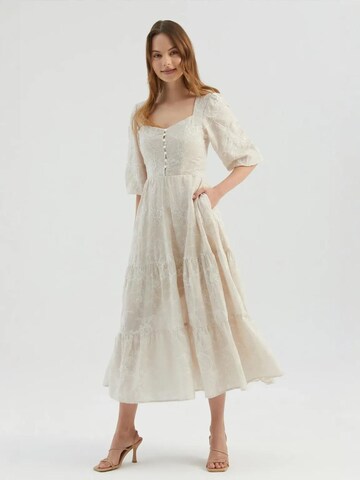 Hiccup Kleid in Beige