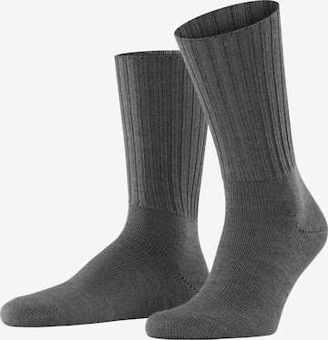 FALKE Socks 'Nelson' in Grey: front
