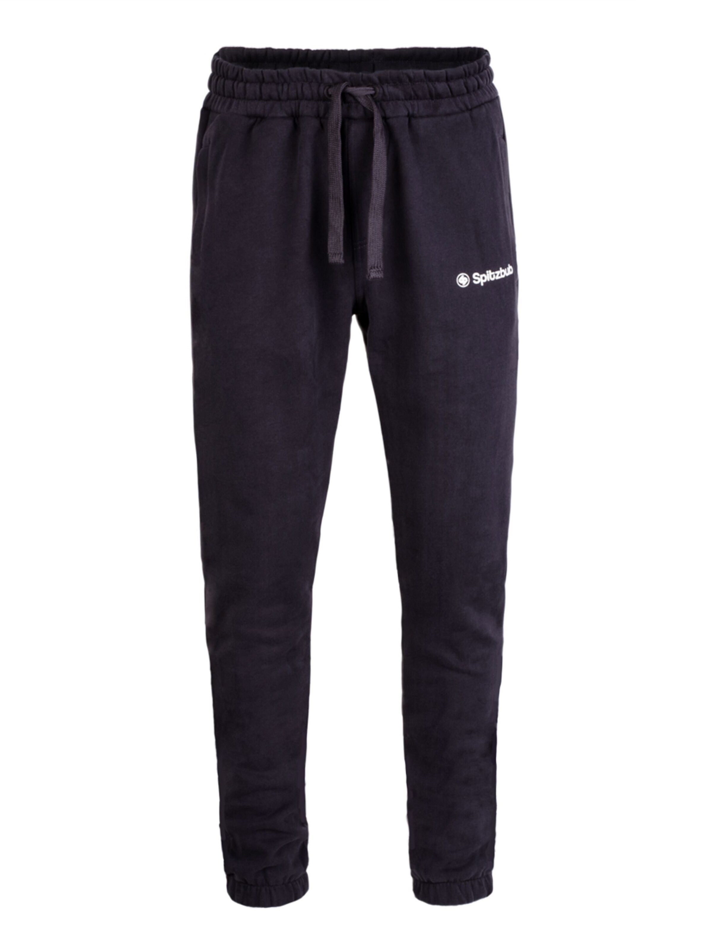 SPITZBUB Regular Broek in Grijs: voorkant