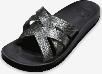 Brasileras - Zapatos abiertos 'Bucla' en plata: frente